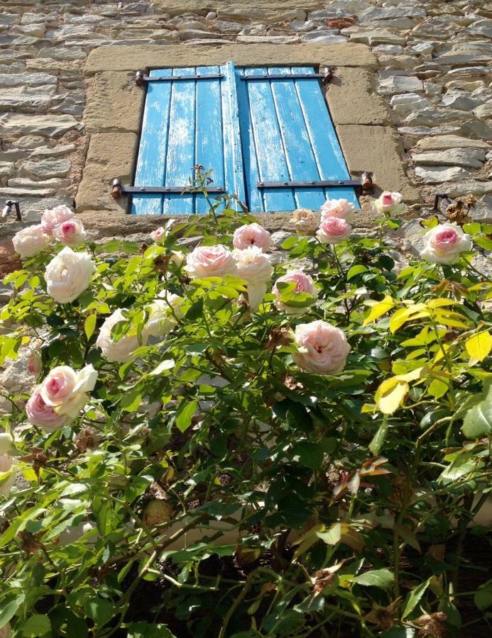 L'Autre Maison Saint-Jean-de-Ceyrargues Buitenkant foto